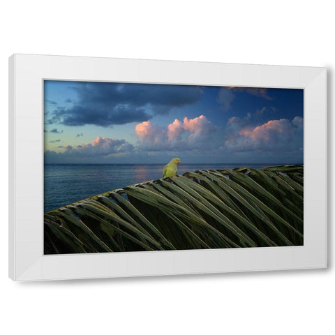 Paulie White Modern Wood Framed Art Print by Frates, Dennis