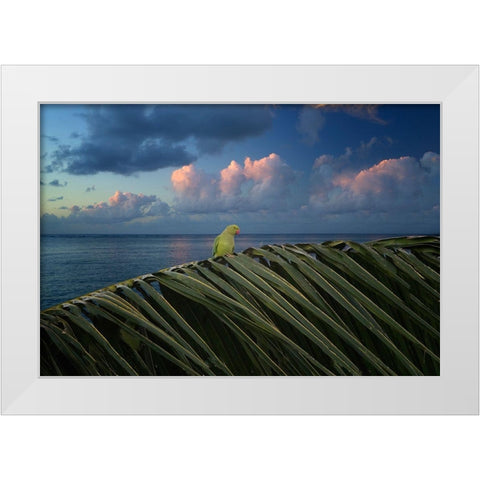 Paulie White Modern Wood Framed Art Print by Frates, Dennis