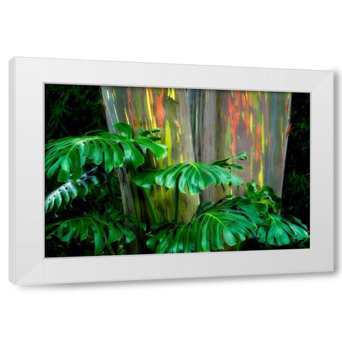 Tropical Leaves White Modern Wood Framed Art Print by Frates, Dennis