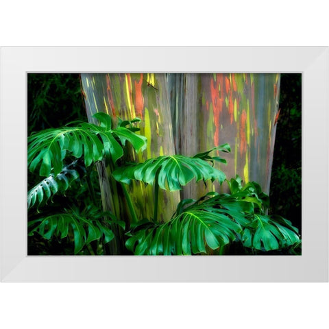 Tropical Leaves White Modern Wood Framed Art Print by Frates, Dennis