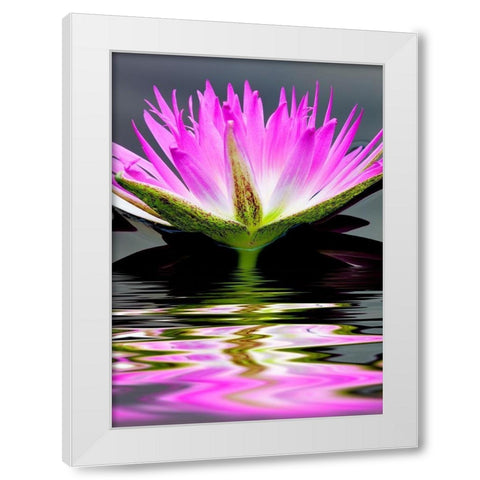 Purple Reflection White Modern Wood Framed Art Print by Frates, Dennis