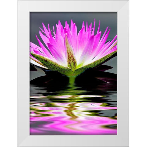 Purple Reflection White Modern Wood Framed Art Print by Frates, Dennis