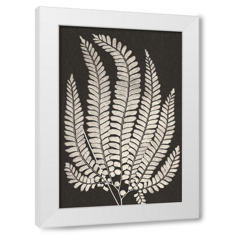 Vintage Ferns II White Modern Wood Framed Art Print by JJ Design