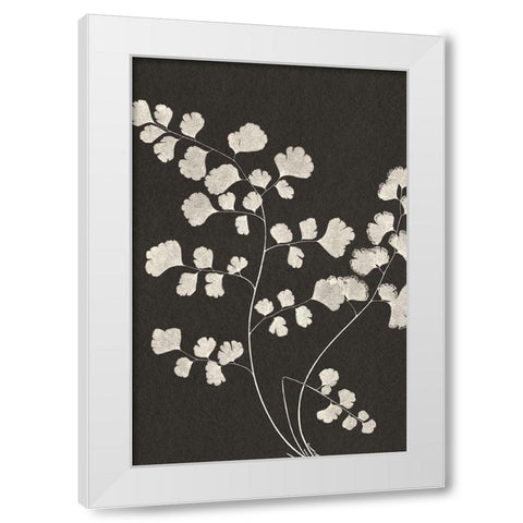 Vintage Ferns III White Modern Wood Framed Art Print by JJ Design