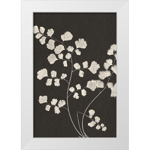 Vintage Ferns III White Modern Wood Framed Art Print by JJ Design