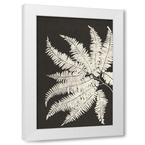 Vintage Ferns V White Modern Wood Framed Art Print by JJ Design