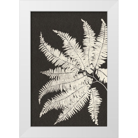 Vintage Ferns V White Modern Wood Framed Art Print by JJ Design