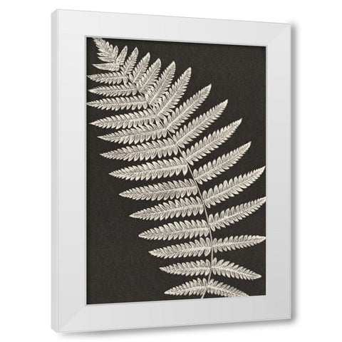 Vintage Ferns VI White Modern Wood Framed Art Print by JJ Design
