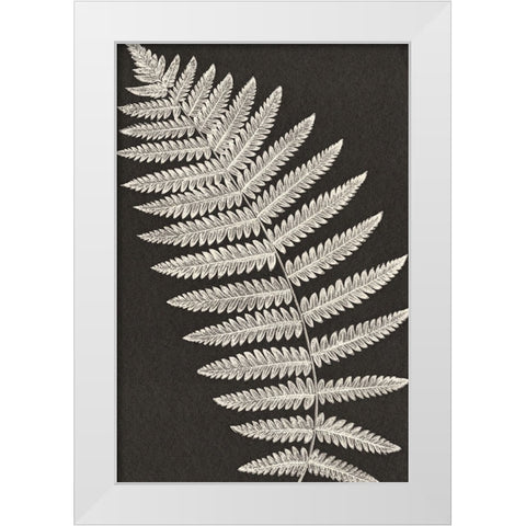Vintage Ferns VI White Modern Wood Framed Art Print by JJ Design