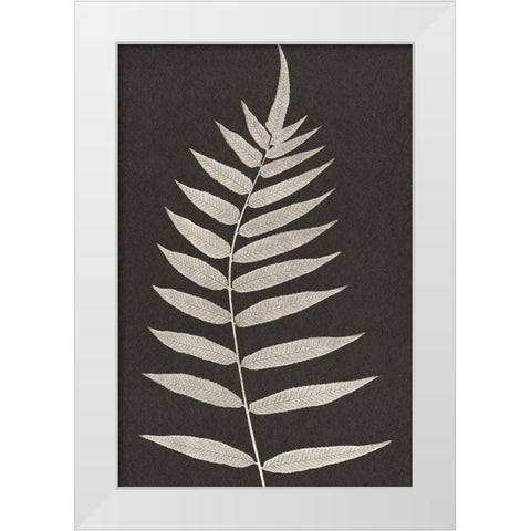 Vintage Ferns VIII White Modern Wood Framed Art Print by JJ Design