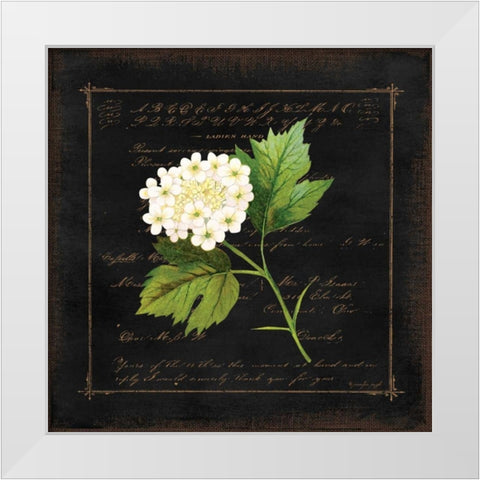 Floral II White Modern Wood Framed Art Print by Pugh, Jennifer