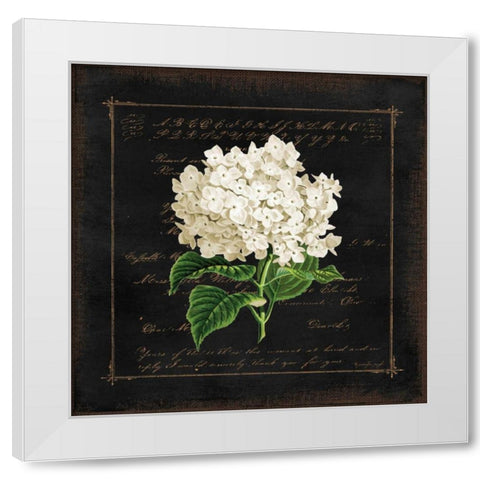 Floral IV White Modern Wood Framed Art Print by Pugh, Jennifer