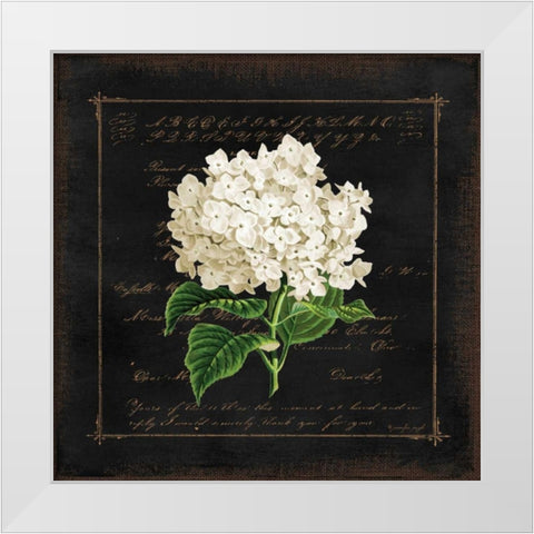 Floral IV White Modern Wood Framed Art Print by Pugh, Jennifer