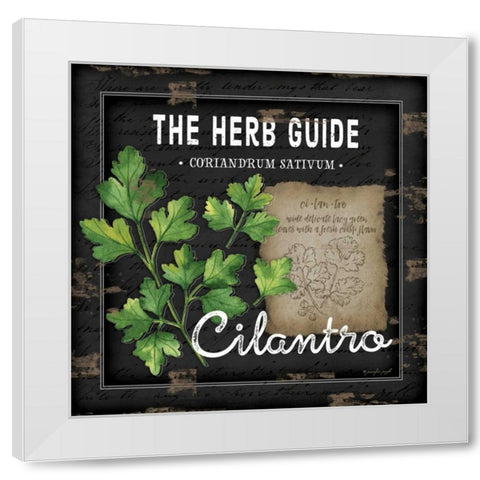 Herb Guide Cilantro White Modern Wood Framed Art Print by Pugh, Jennifer
