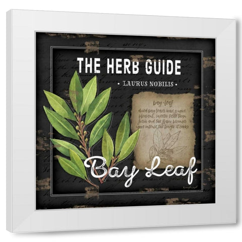 Herb Guide Bay Leaf White Modern Wood Framed Art Print by Pugh, Jennifer