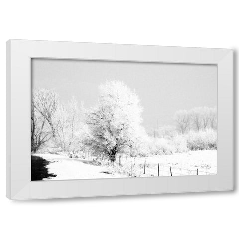 Winter Scene White Modern Wood Framed Art Print by Pugh, Jennifer