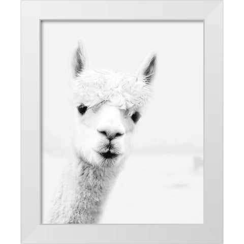 Llama White Modern Wood Framed Art Print by Pugh, Jennifer