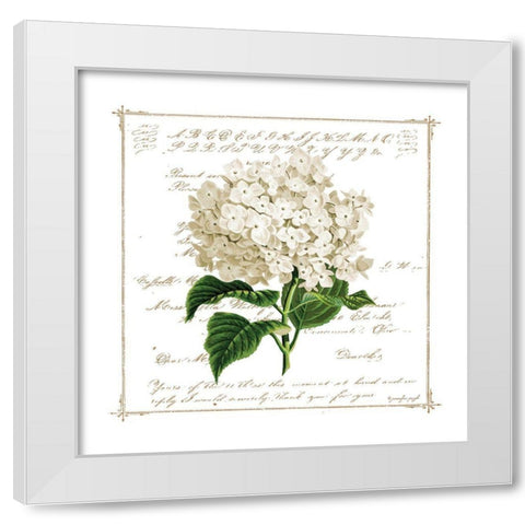 Floral IV White Modern Wood Framed Art Print by Pugh, Jennifer