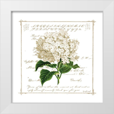 Floral IV White Modern Wood Framed Art Print by Pugh, Jennifer