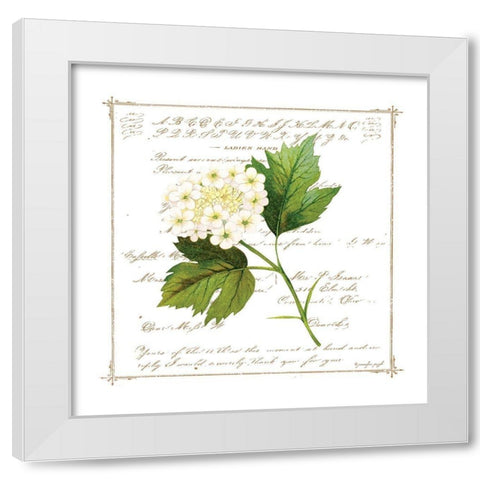 Floral II White Modern Wood Framed Art Print by Pugh, Jennifer