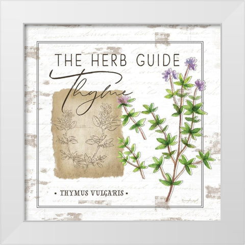 Herb Guide - Thyme White Modern Wood Framed Art Print by Pugh, Jennifer