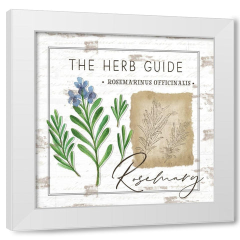 Herb Guide - Rosemary White Modern Wood Framed Art Print by Pugh, Jennifer