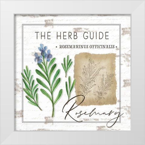 Herb Guide - Rosemary White Modern Wood Framed Art Print by Pugh, Jennifer