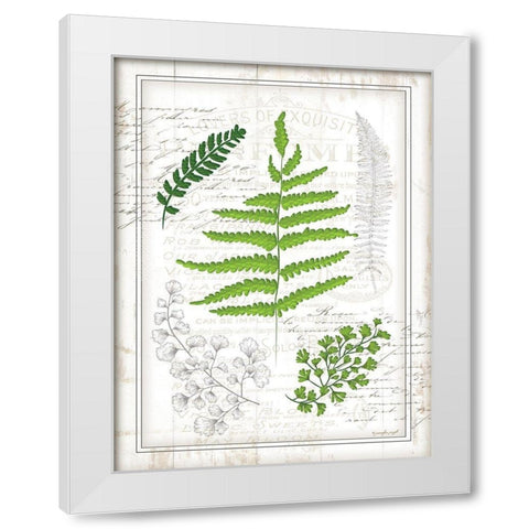 Ferns I White Modern Wood Framed Art Print by Pugh, Jennifer