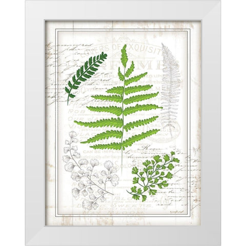 Ferns I White Modern Wood Framed Art Print by Pugh, Jennifer
