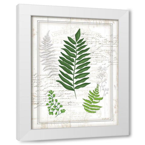 Ferns II White Modern Wood Framed Art Print by Pugh, Jennifer