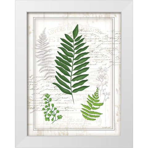 Ferns II White Modern Wood Framed Art Print by Pugh, Jennifer