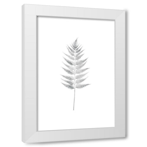 Palm I White Modern Wood Framed Art Print by Pugh, Jennifer