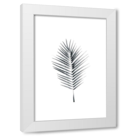 Palm II White Modern Wood Framed Art Print by Pugh, Jennifer