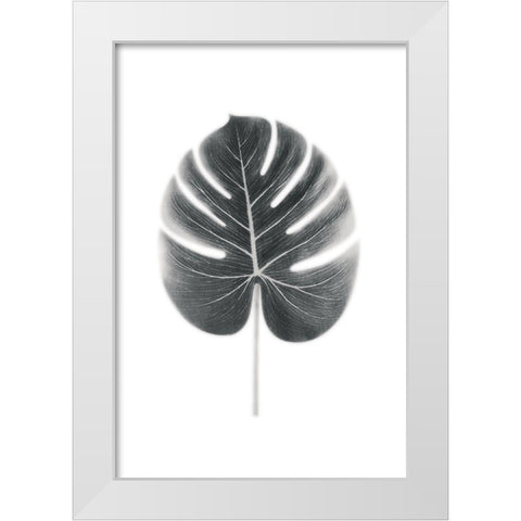 Palm III White Modern Wood Framed Art Print by Pugh, Jennifer