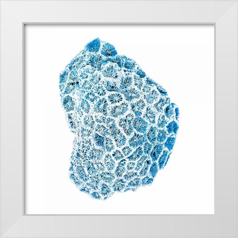 Blue Sea White Modern Wood Framed Art Print by Brando, JJ