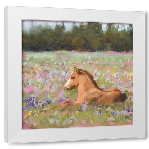 Spring Time Foal White Modern Wood Framed Art Print by Blue, Nina