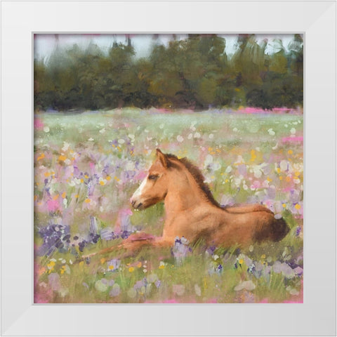Spring Time Foal White Modern Wood Framed Art Print by Blue, Nina