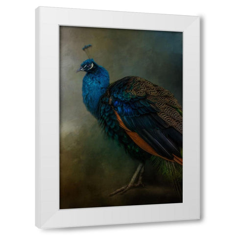 Proud Peacock  White Modern Wood Framed Art Print by Parker, Kelley