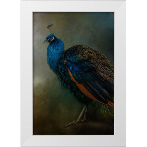 Proud Peacock  White Modern Wood Framed Art Print by Parker, Kelley