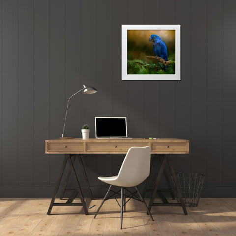 Paradise Perch White Modern Wood Framed Art Print by Parker, Kelley