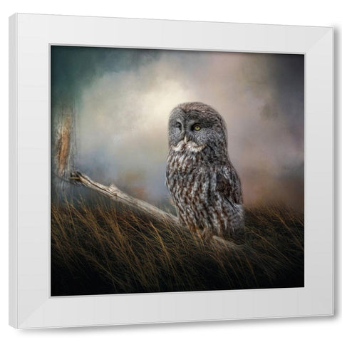 Meadow Retreat White Modern Wood Framed Art Print by Parker, Kelley