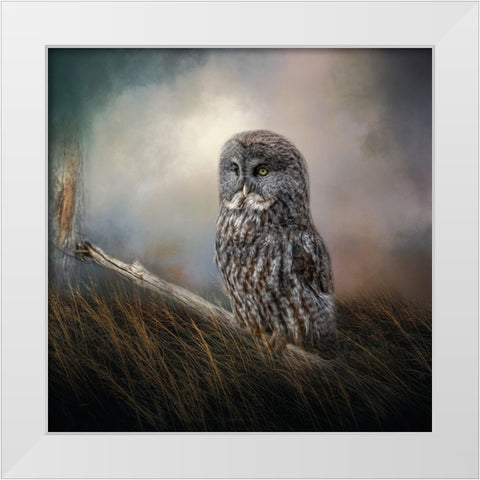 Meadow Retreat White Modern Wood Framed Art Print by Parker, Kelley