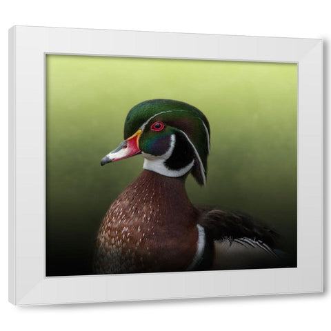 A Duck of Many Colors White Modern Wood Framed Art Print by Parker, Kelley
