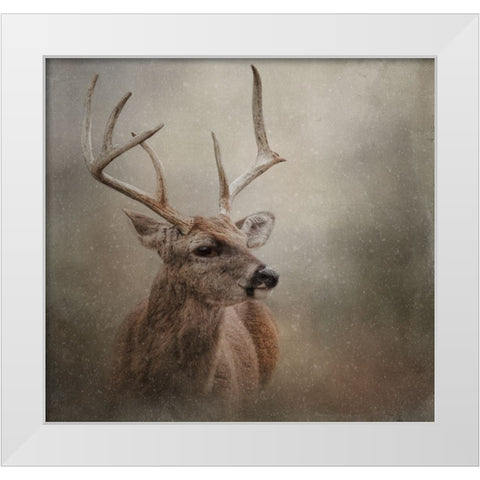 Winter Messenger White Modern Wood Framed Art Print by Parker, Kelley