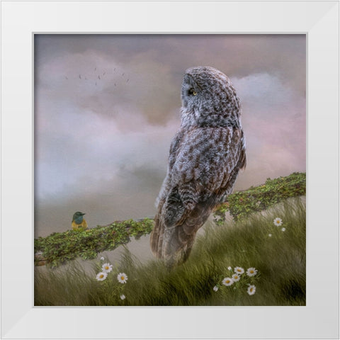 In the Meadow White Modern Wood Framed Art Print by Parker, Kelley