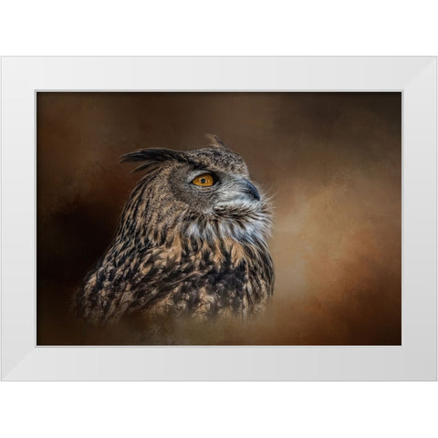 Seeking the Light White Modern Wood Framed Art Print by Parker, Kelley