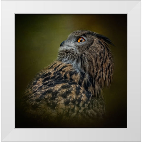 Whats Above White Modern Wood Framed Art Print by Parker, Kelley