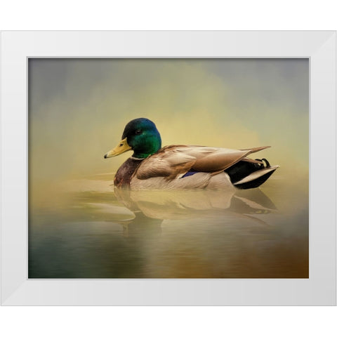 Mr. Mallard White Modern Wood Framed Art Print by Parker, Kelley