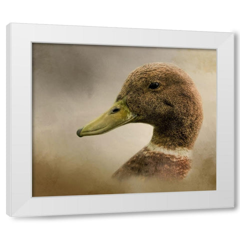 Ring Around the Collar White Modern Wood Framed Art Print by Parker, Kelley