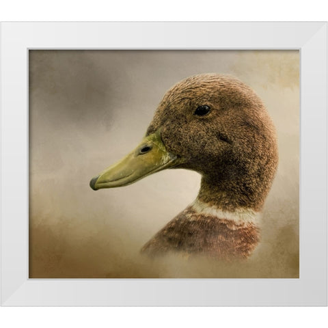 Ring Around the Collar White Modern Wood Framed Art Print by Parker, Kelley